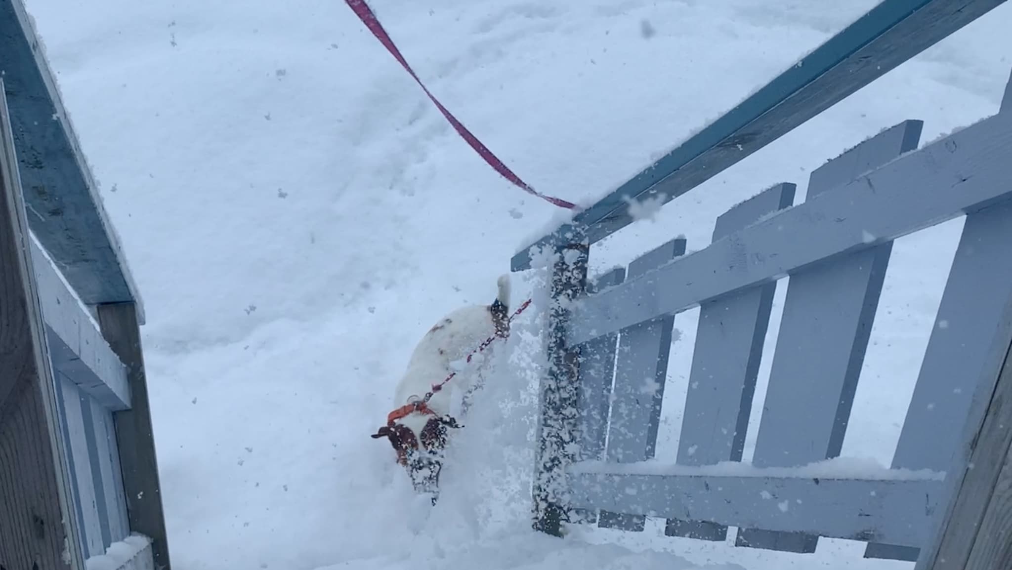 Snø og vinter i mai