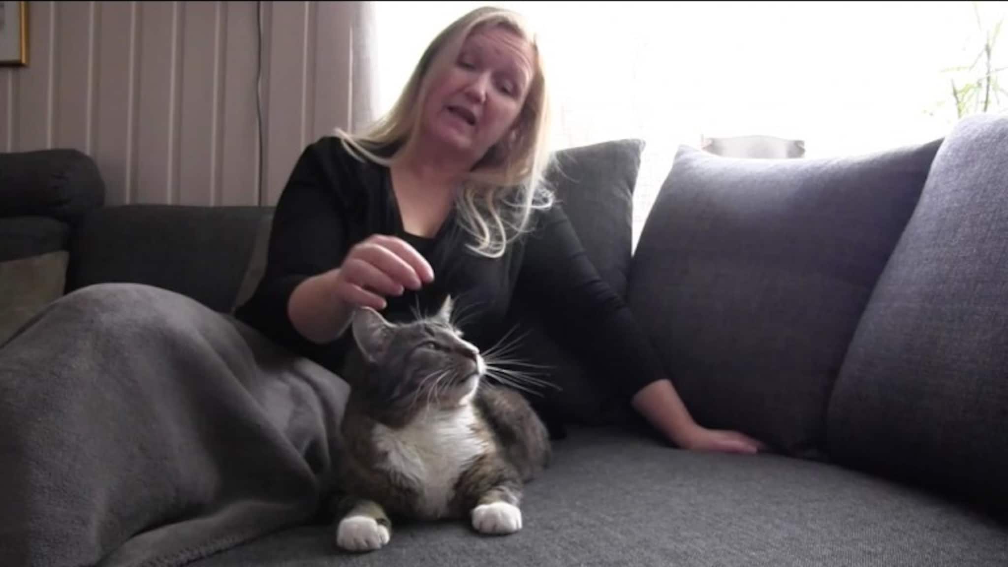 Å adoptere en hjemløs