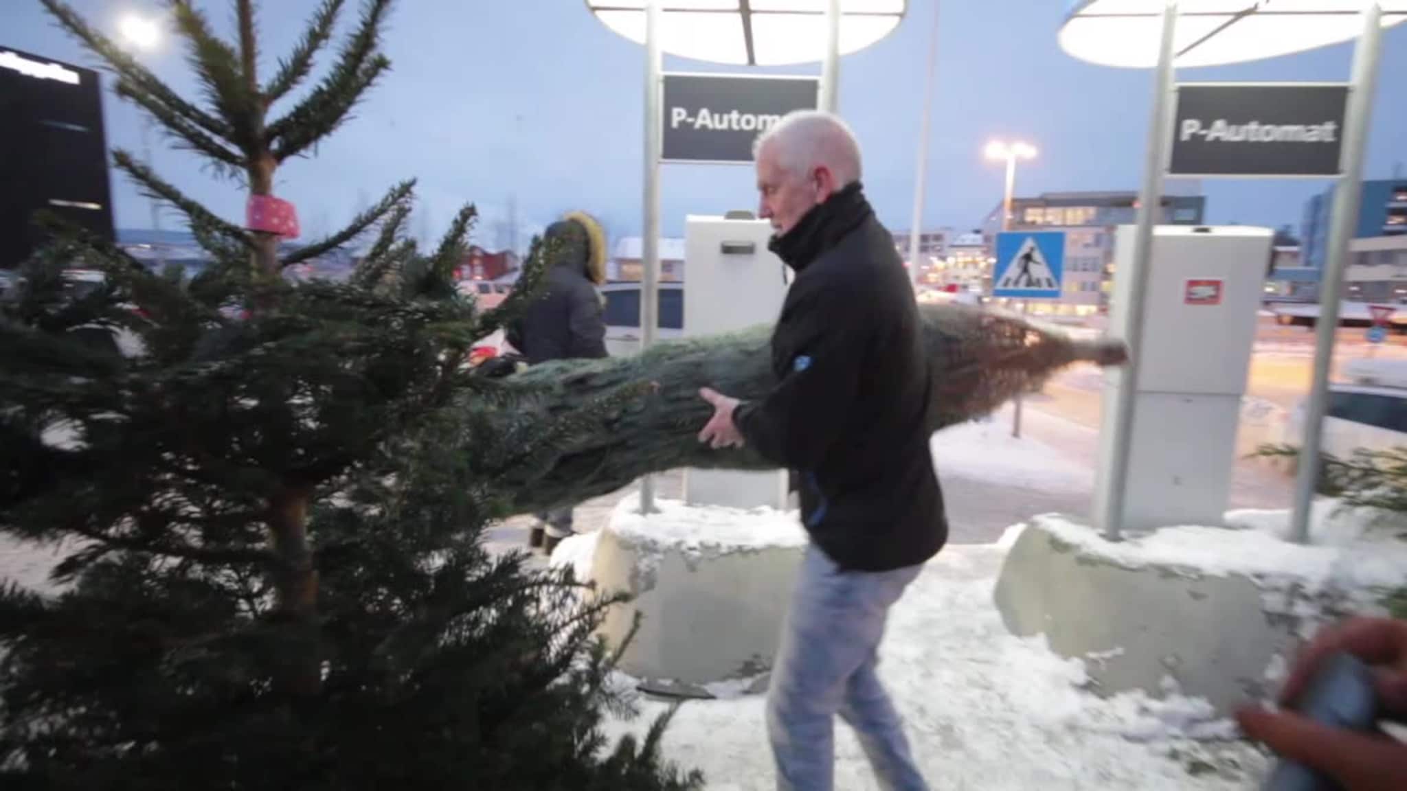 Sverger fortsatt til ekte julegran