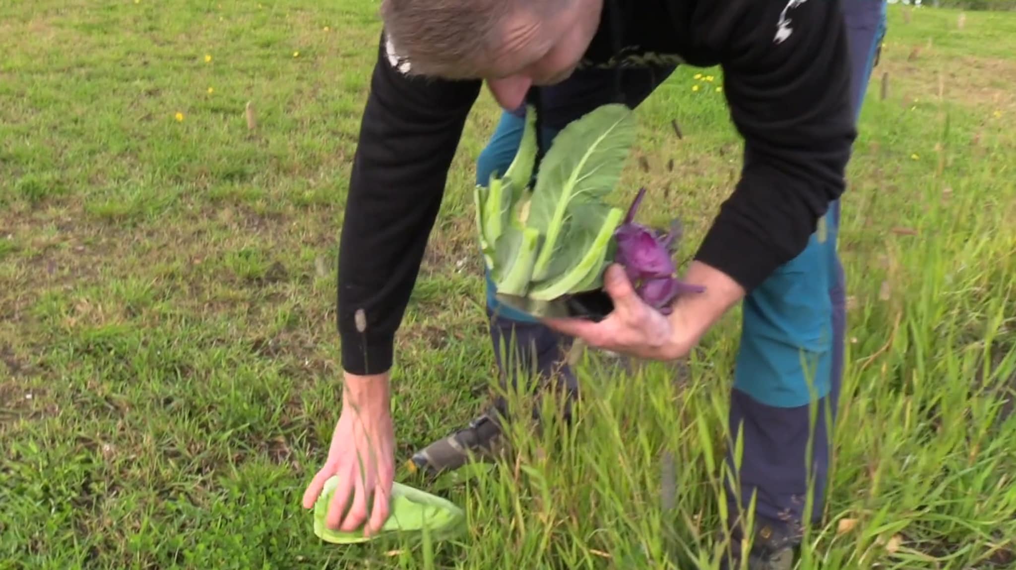 Fredrik selger egendyrkede grønnsaker på Senja