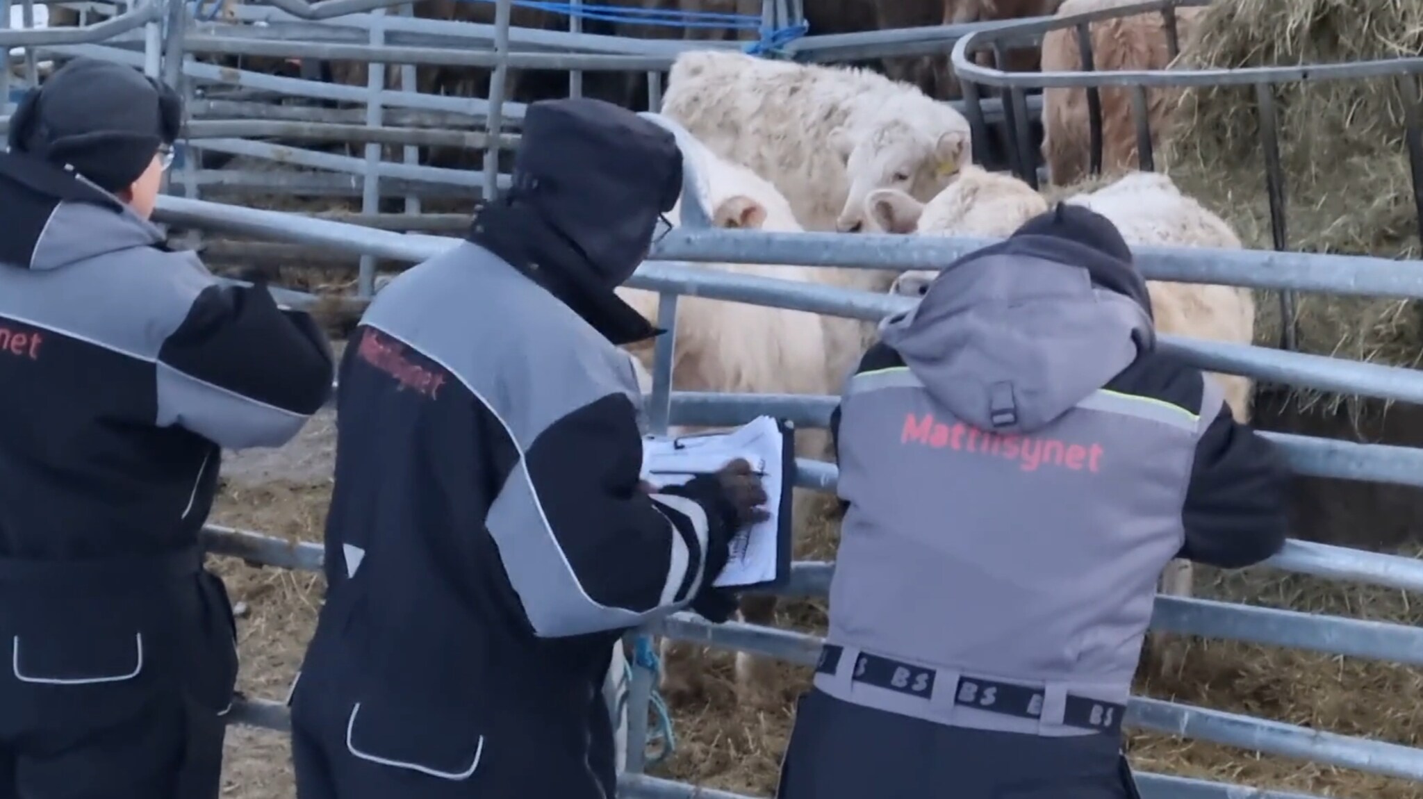 Skutt og drept — nå skal gårdsdrifta avvikles