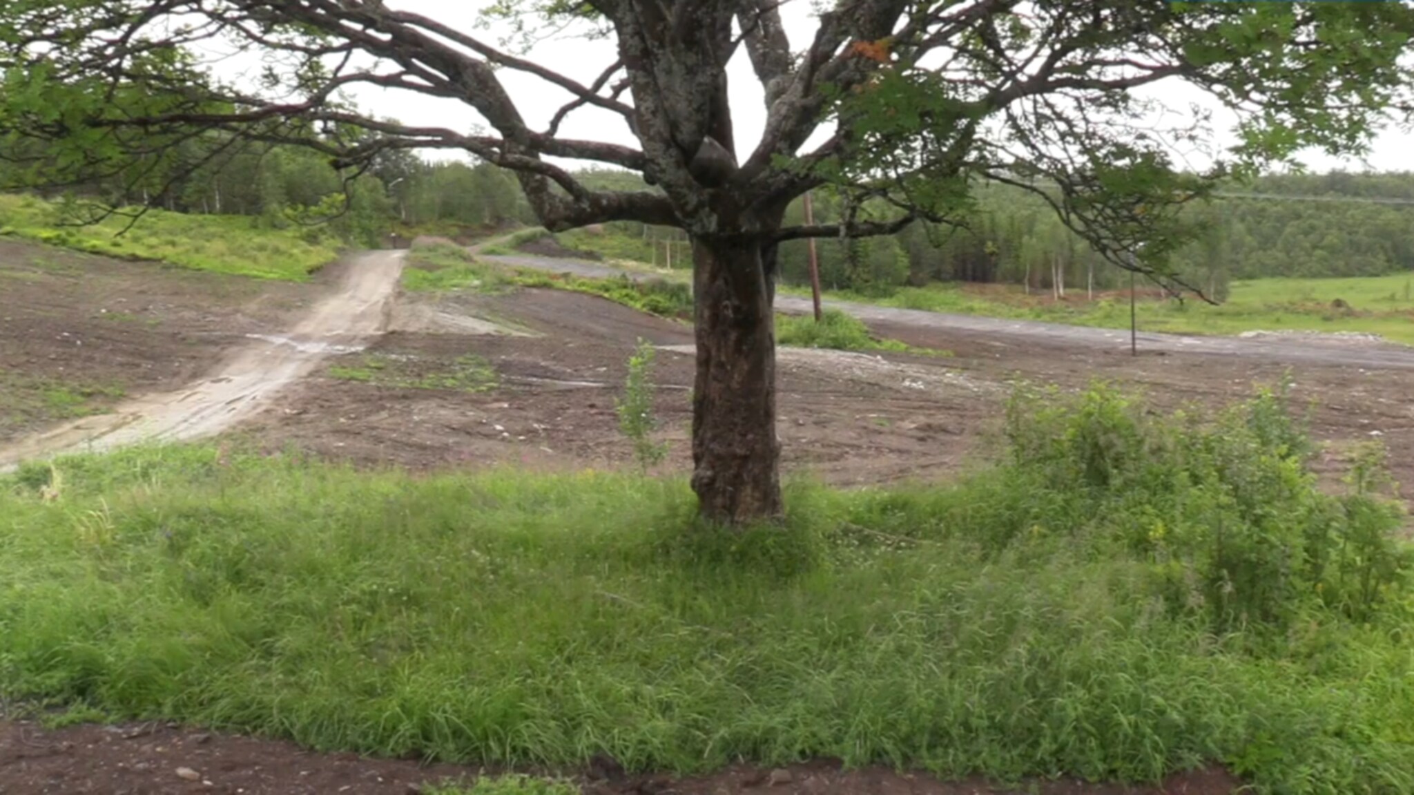 Satser stort på frisbeegolf på Senja