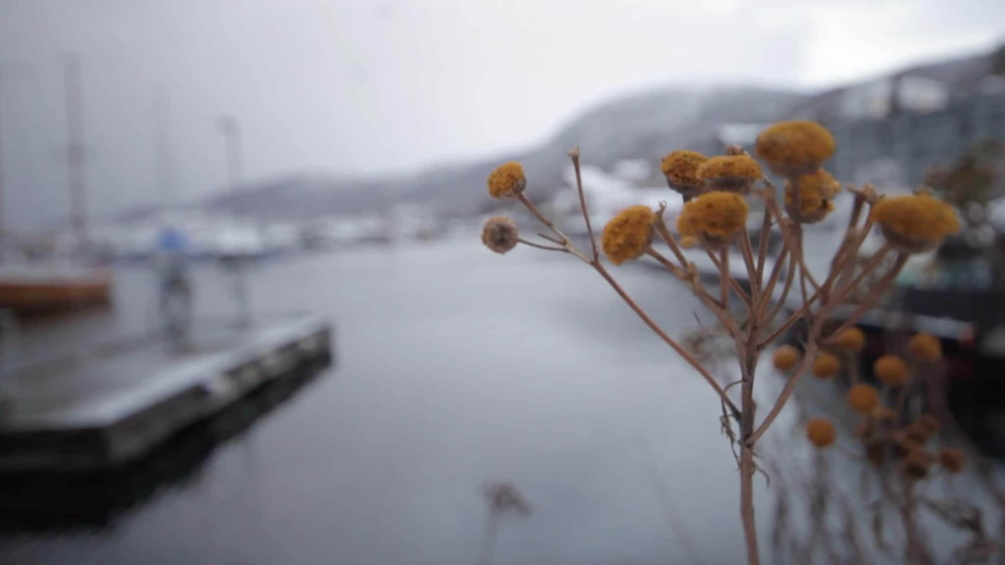 Snart kommer uværet inn over Troms