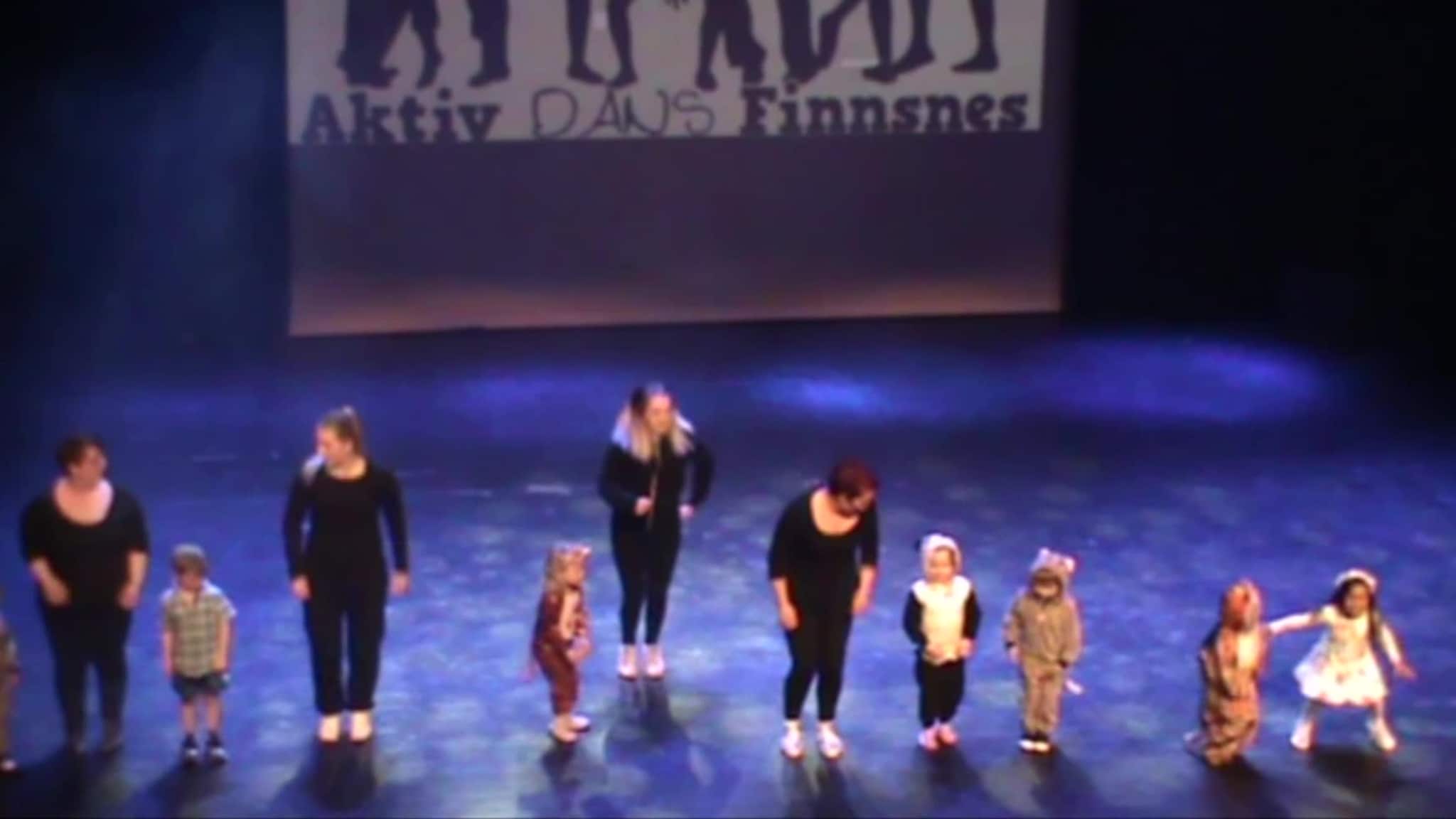 Danseshow for store og små