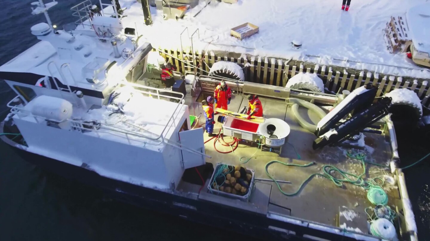 Vinterens helter — på havet uansett