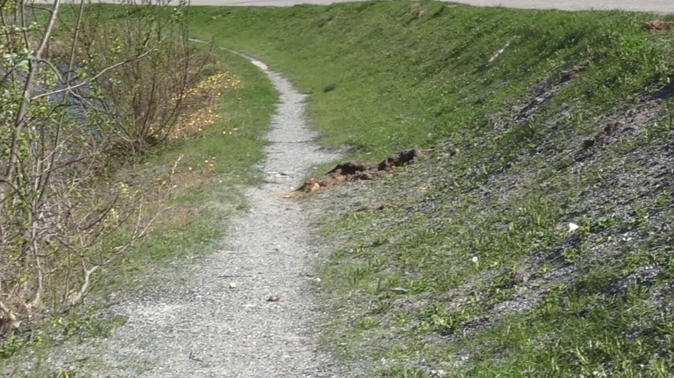 Slik ser veien ut gjennom Storgata - Folkebladet-TV