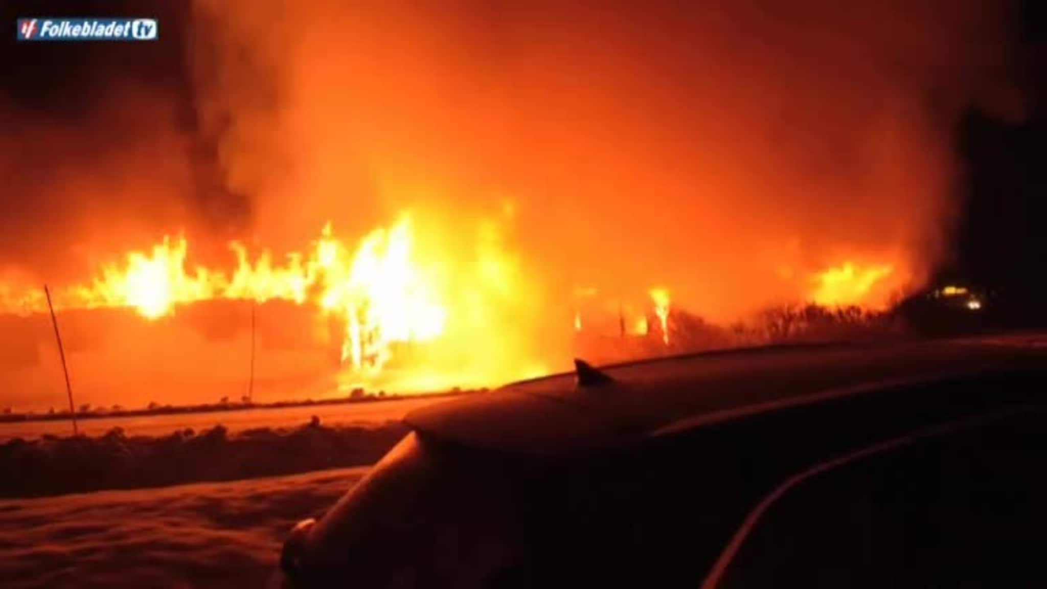 Storbrann i Sørreisa