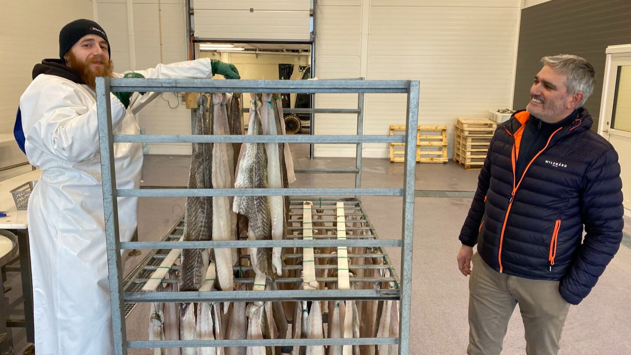 – Artig å medvirke til å få et oppsving i Torsken
