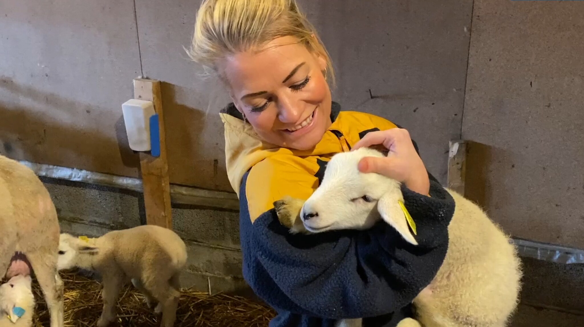 Sandra Borch i lammesjau