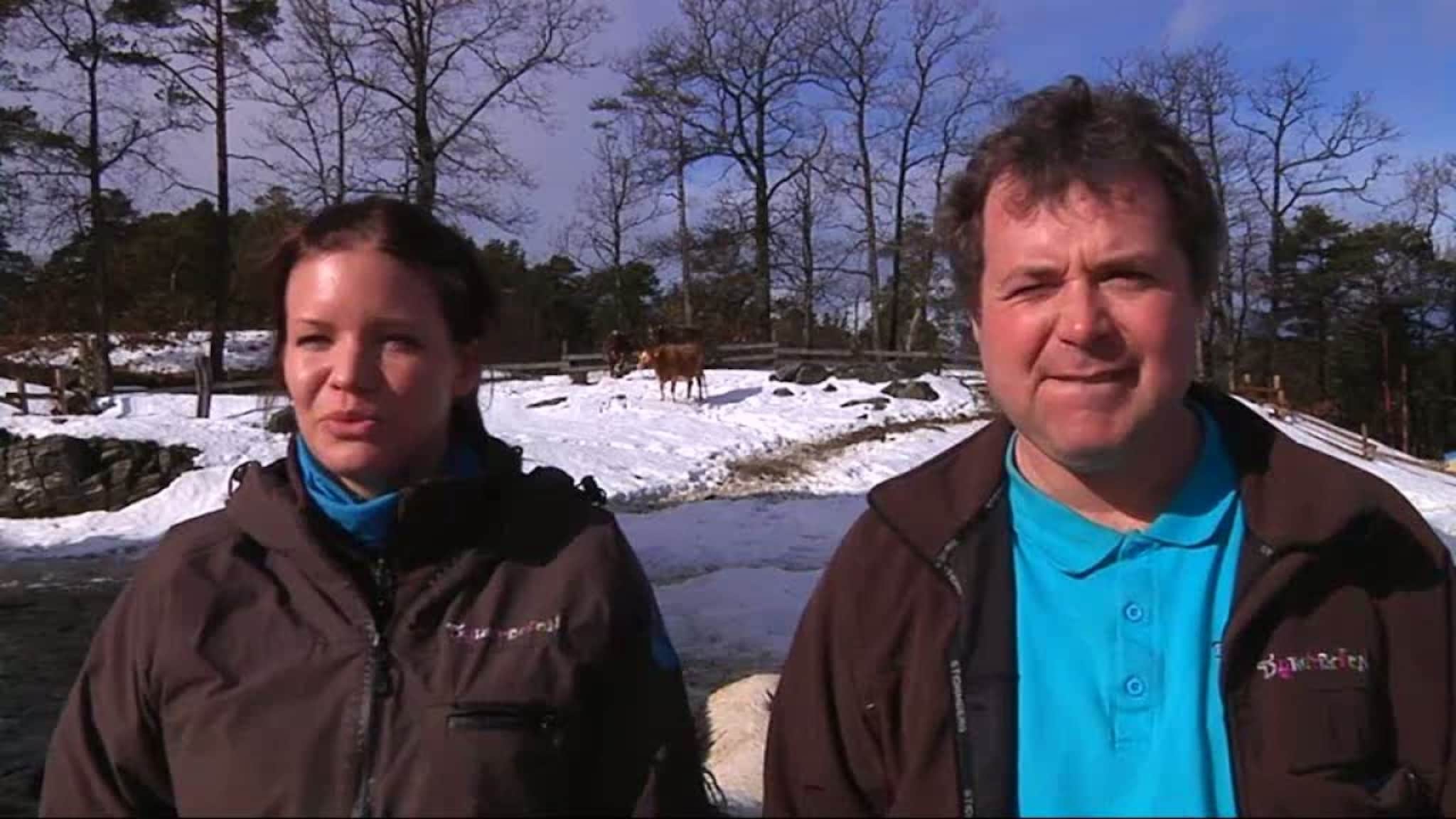 TV-serie fra Dyreparken