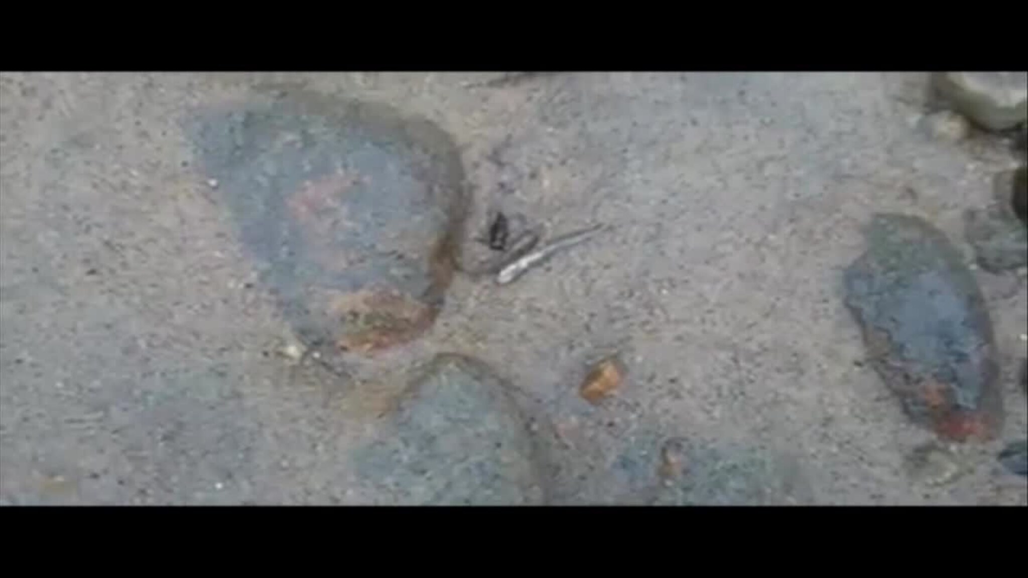 fiskfisk720-Fotballklipp-MPEG4.mp4