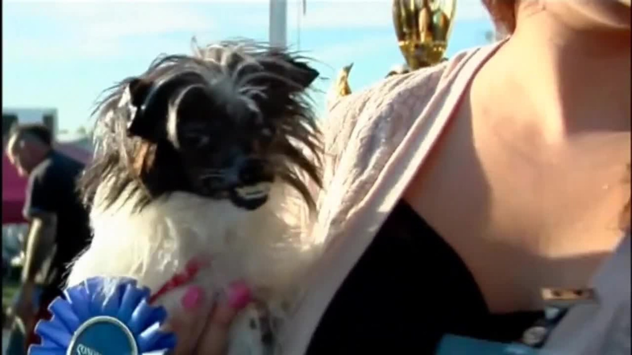 Peanut er verdens styggeste hund
