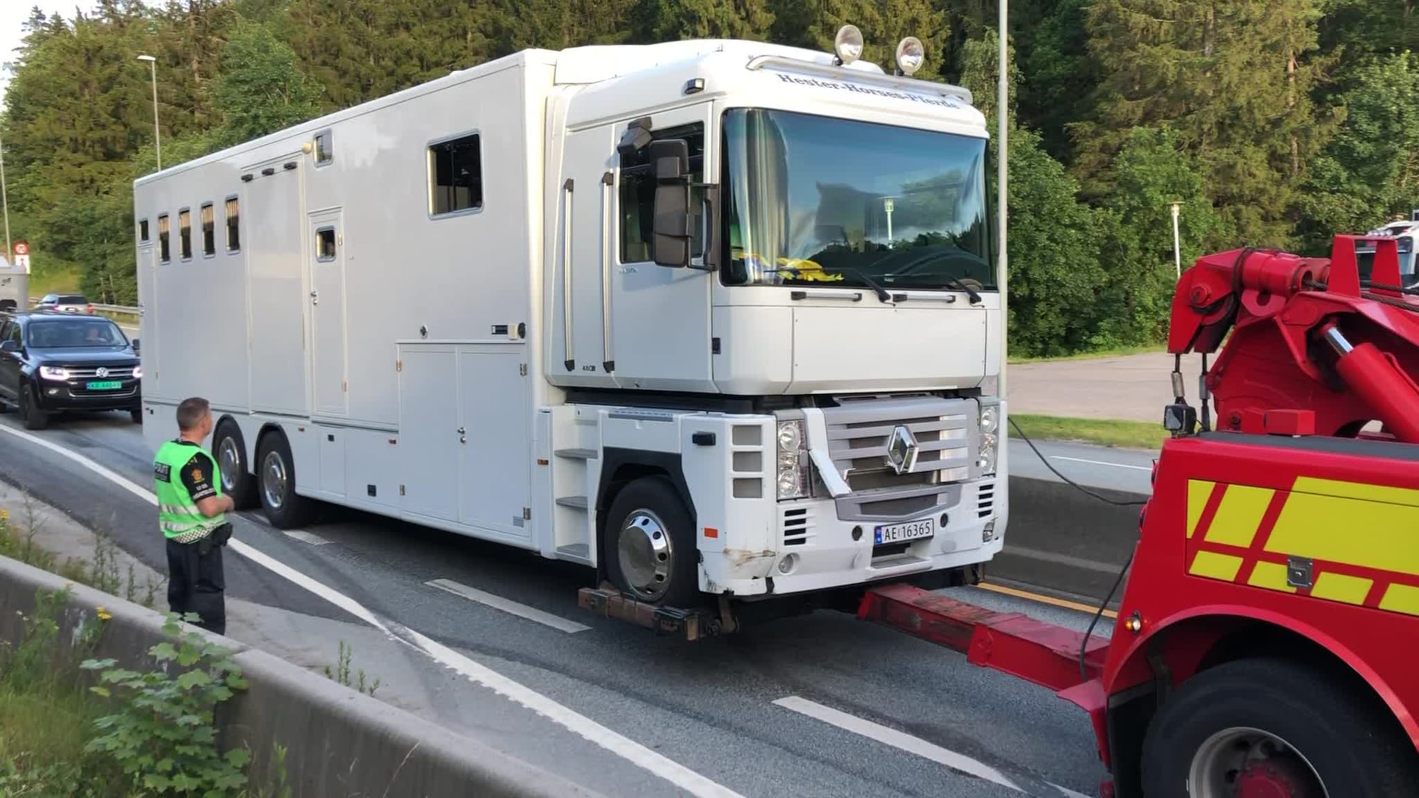 Her berges hestetraileren