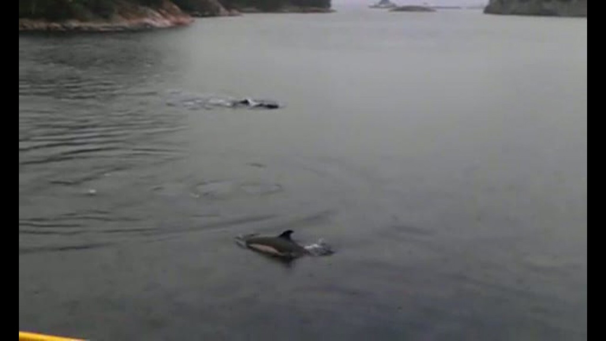 - Jeg har aldri sett noe lignende