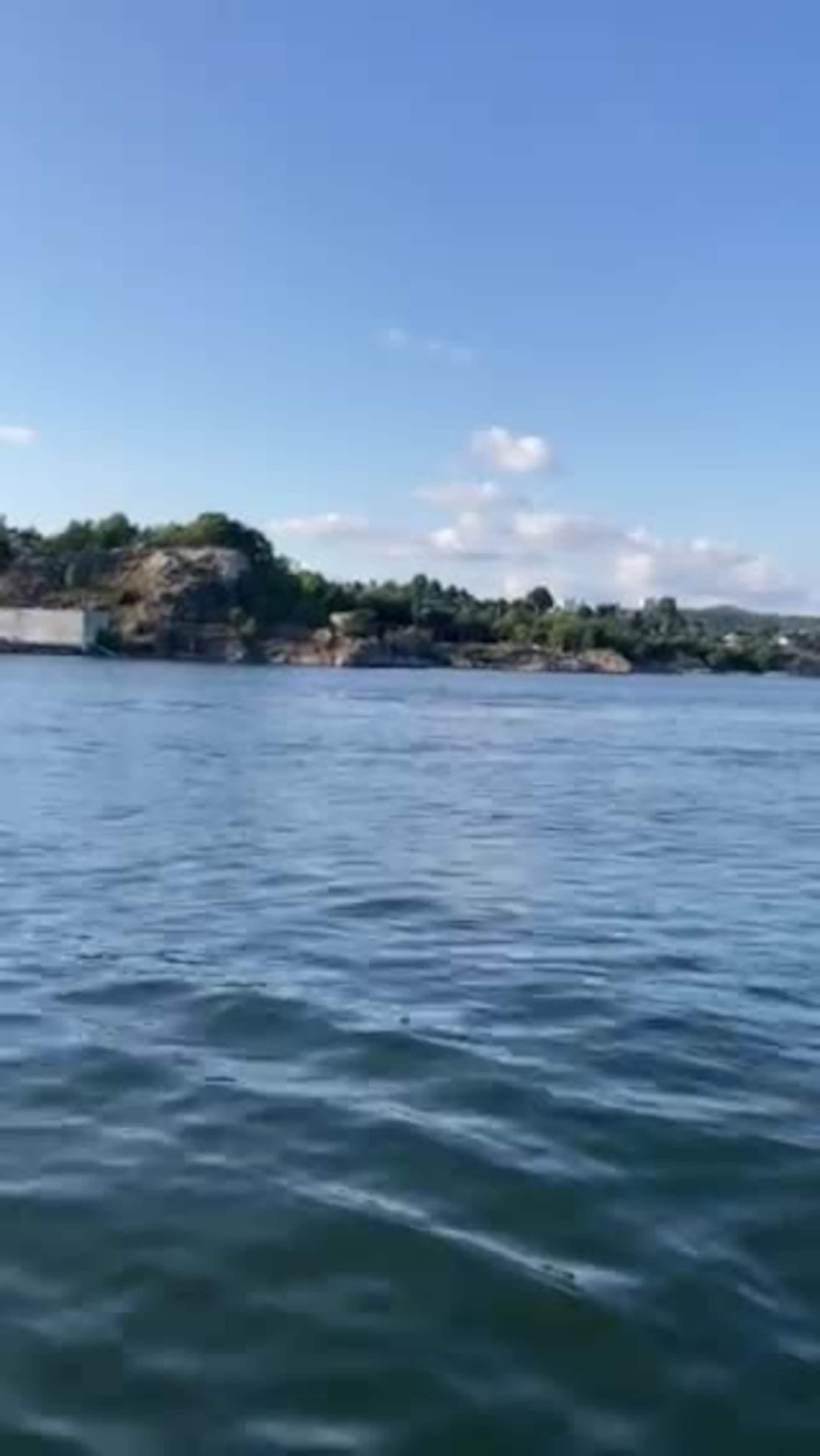 Defliner på Byfjorden