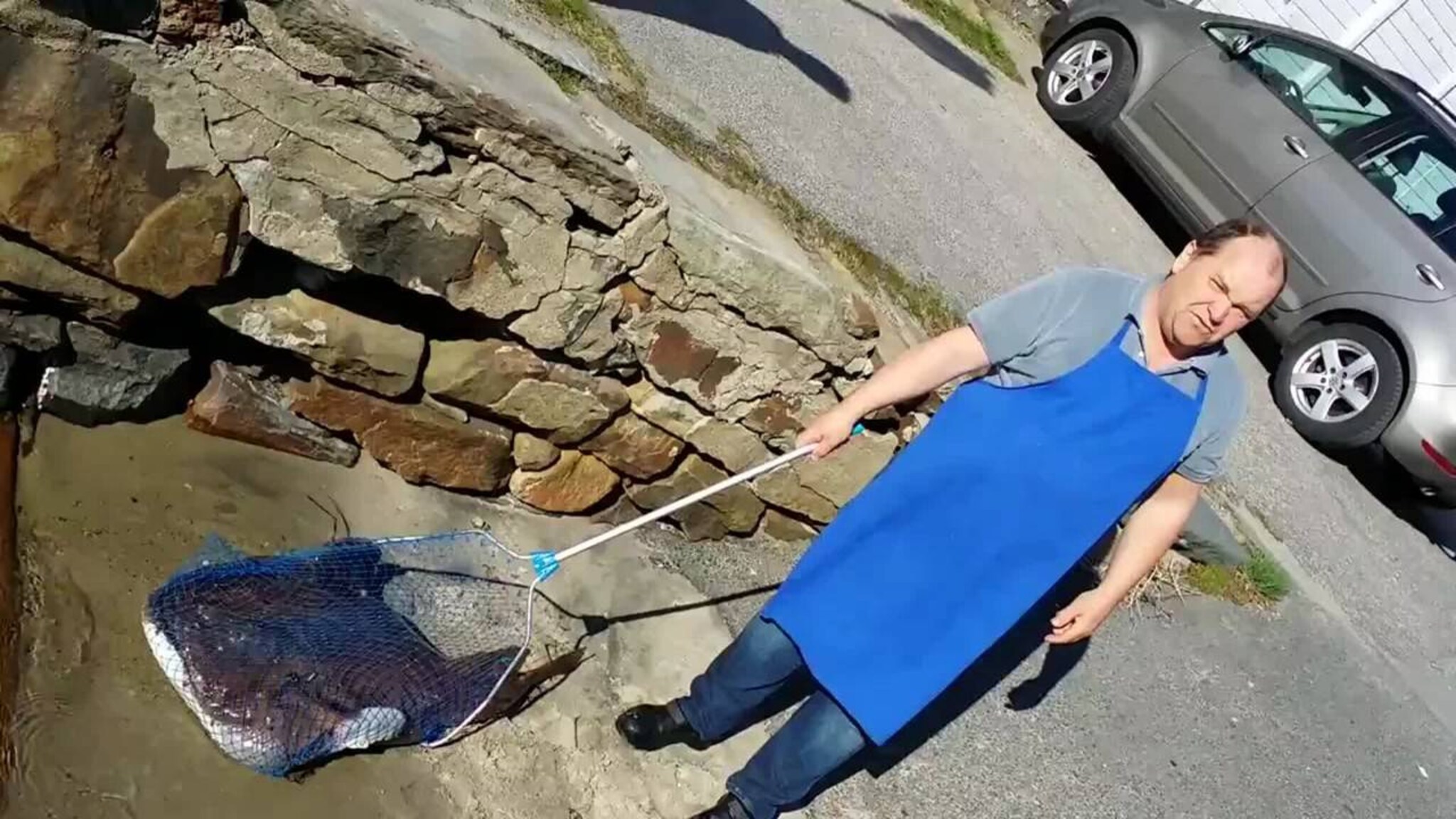 Her fanger de kjempebreiflabben