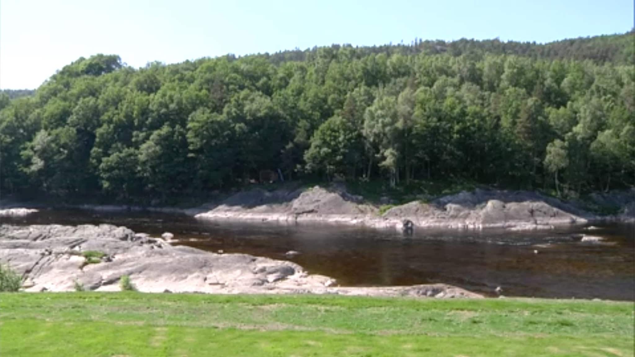 Se laksefiske direkte fra Tovdalselva
