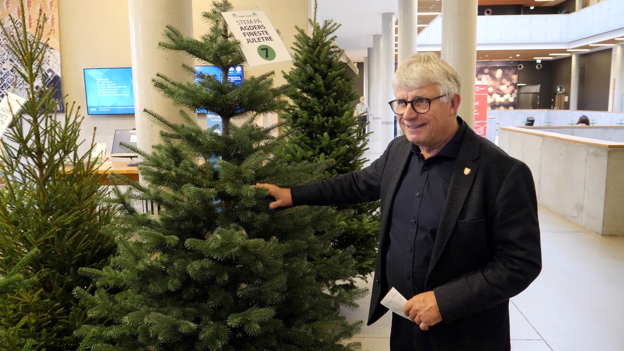 Her er Agders fineste juletre