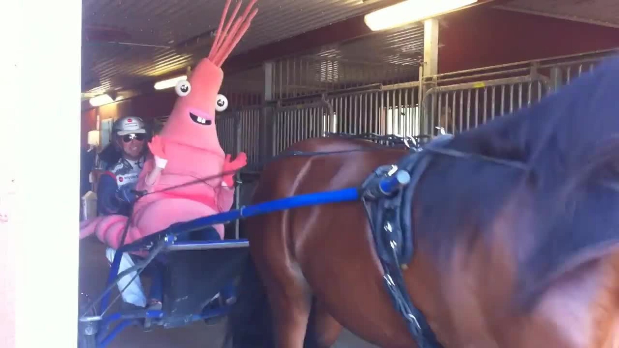 Obs! Rægas sveis satt fast