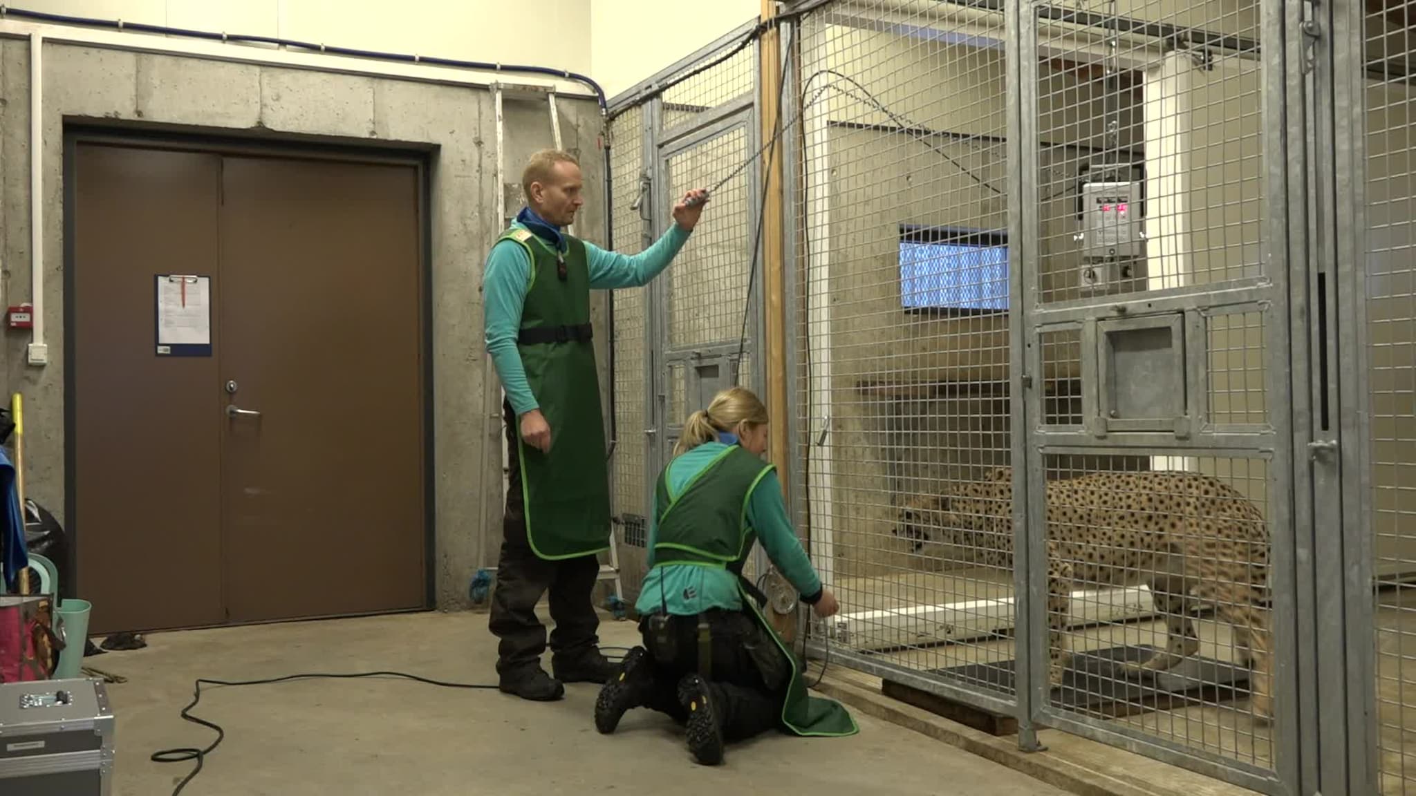 Kimani har gjennomlevd et innbilt svangerskap