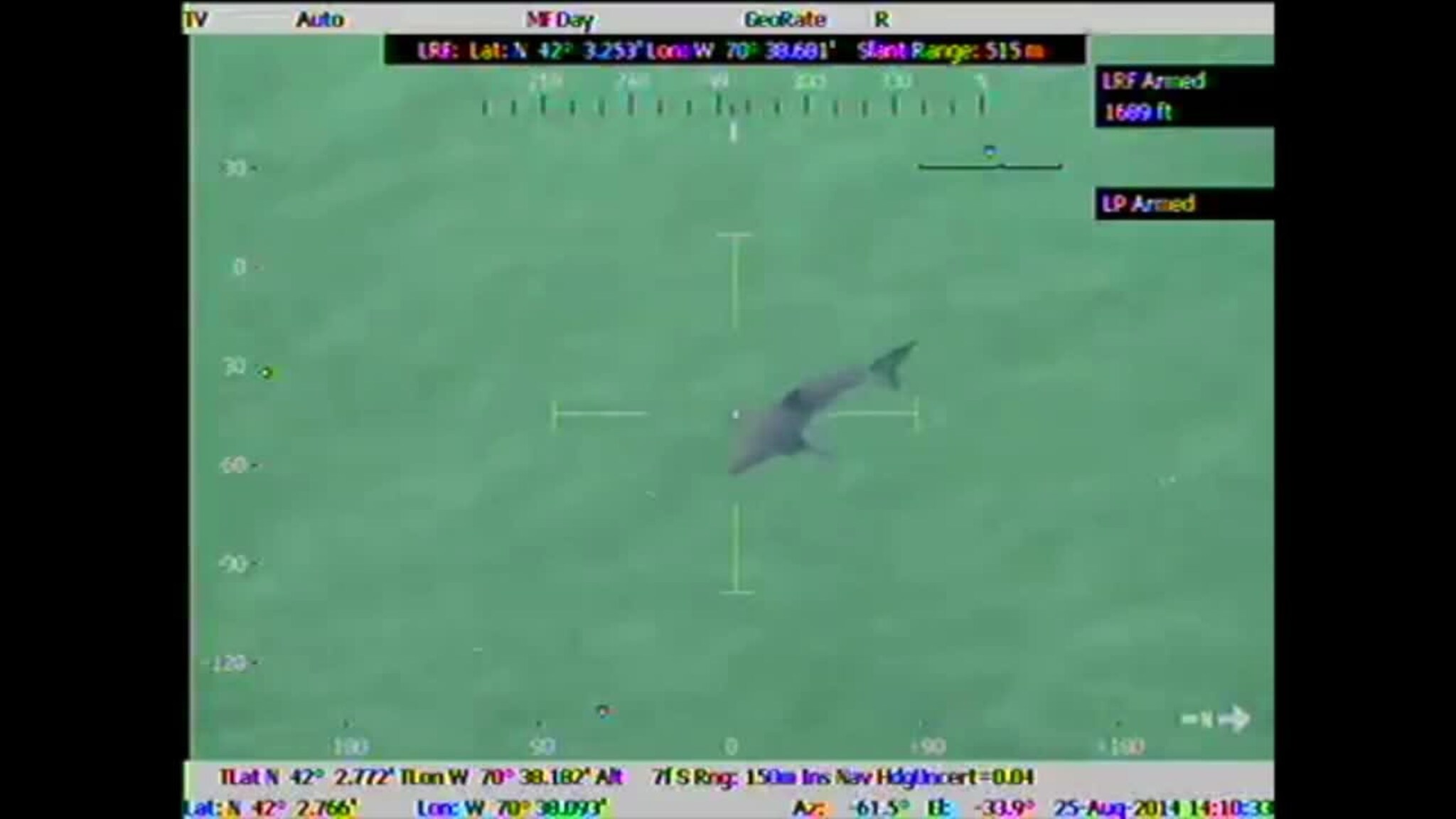 Se politiets helikoptervideo av haien