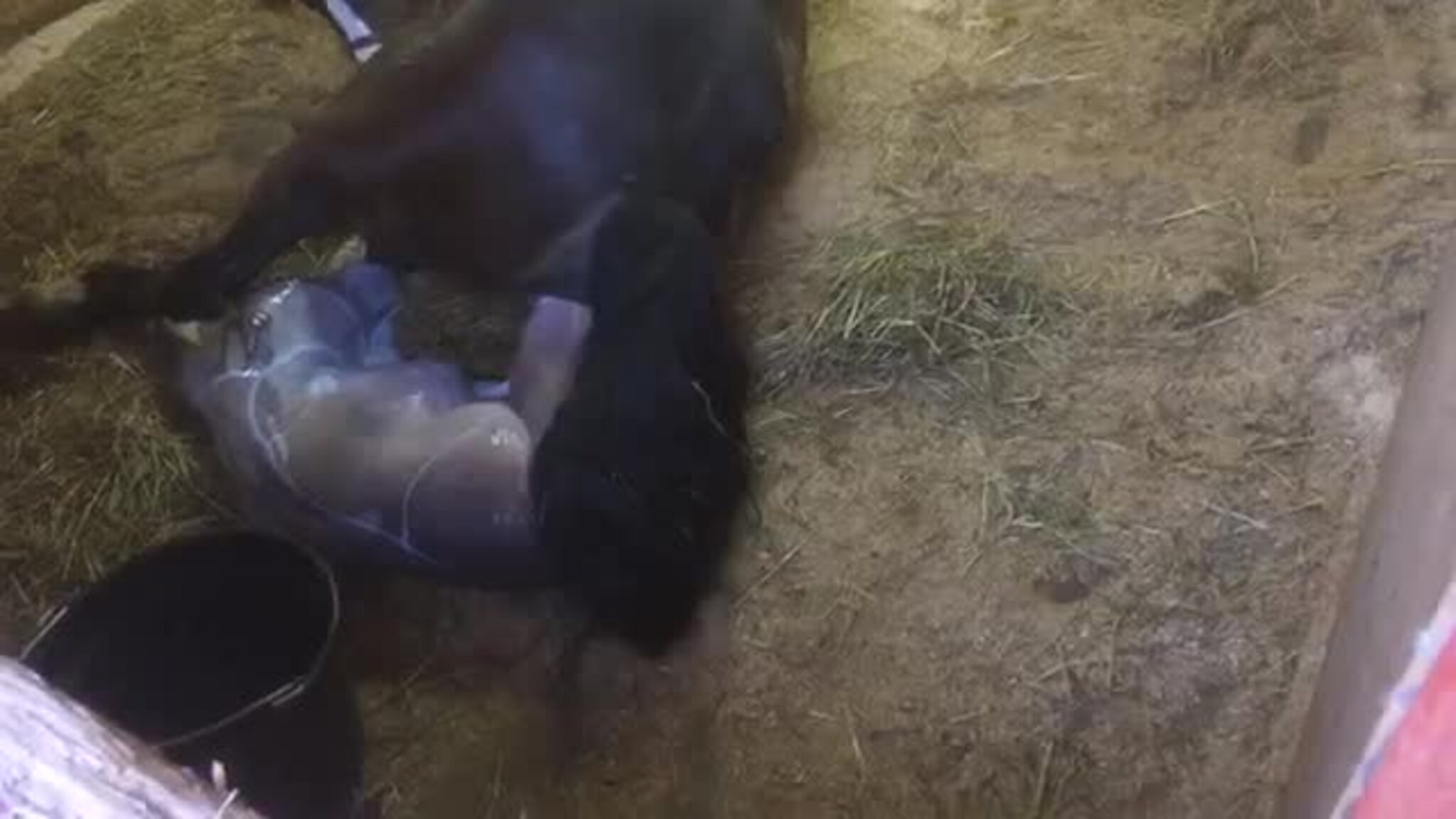 Følling Kleppe Bausa