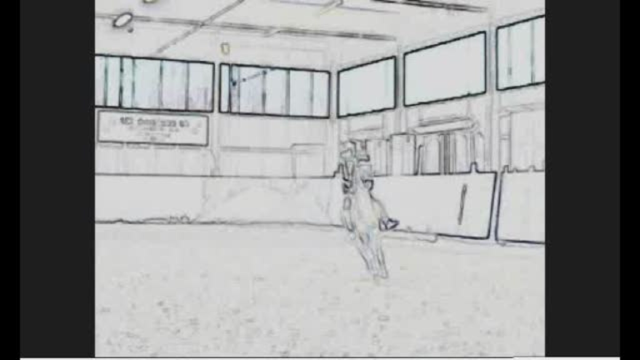 VIDEO 20: Ponnidrømmen