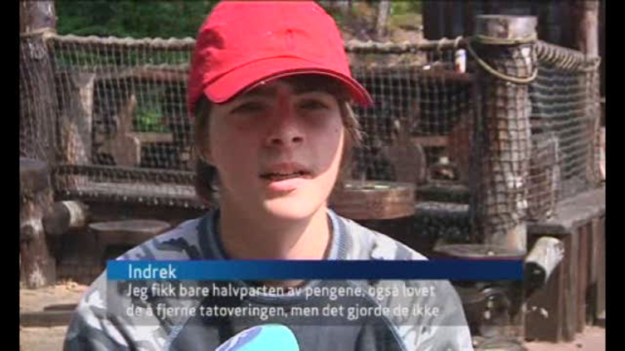 Gatebarn i Dyreparken