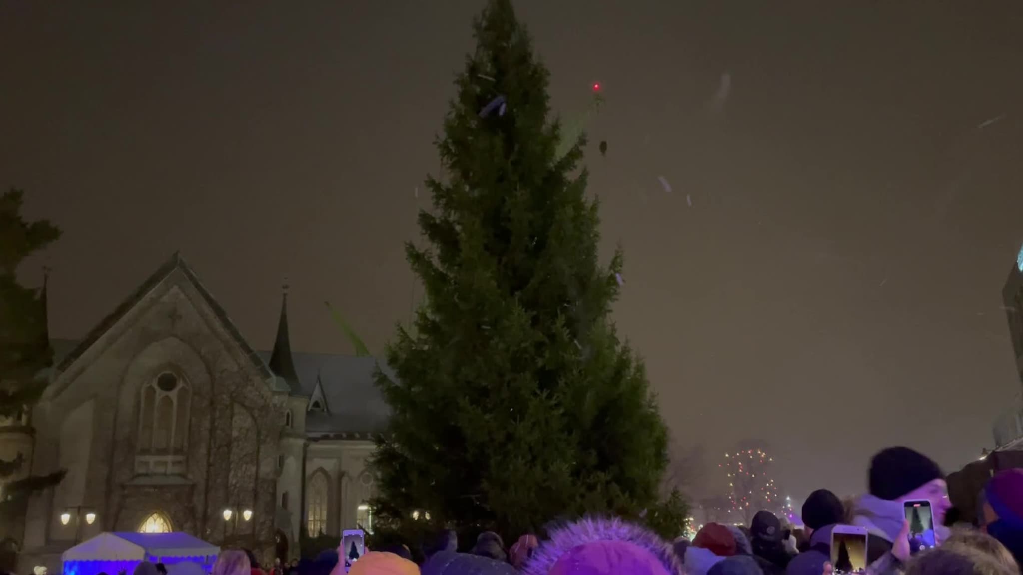Julegrana tennes