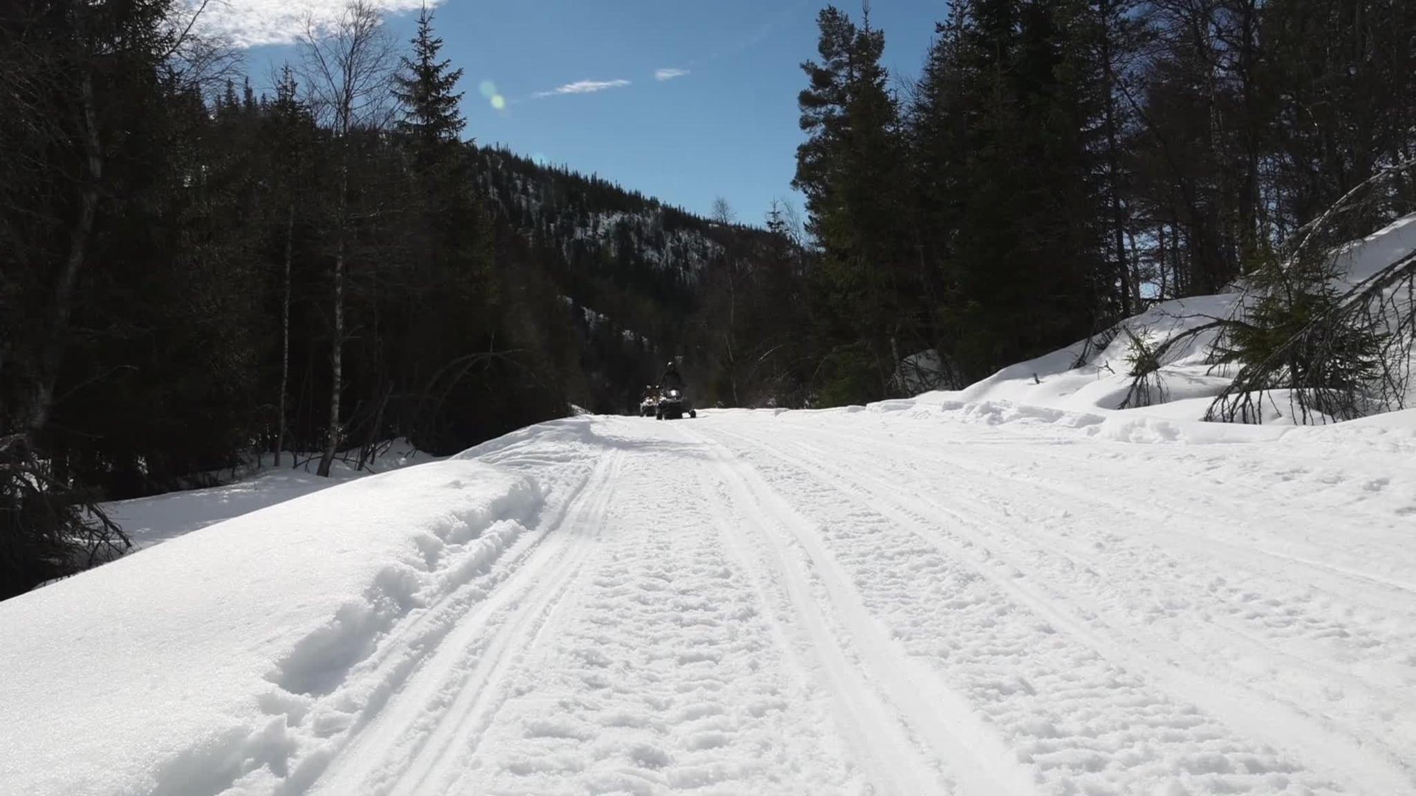 skuter