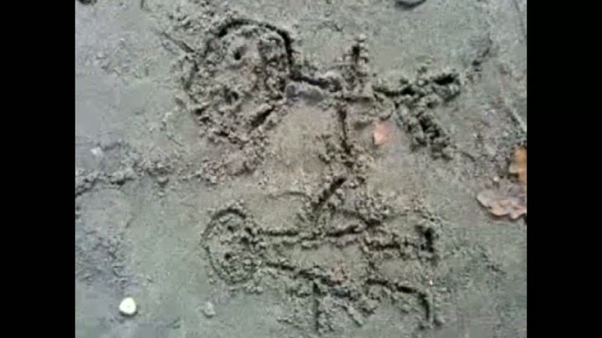 FILM 44: Herr Doms i Sandby