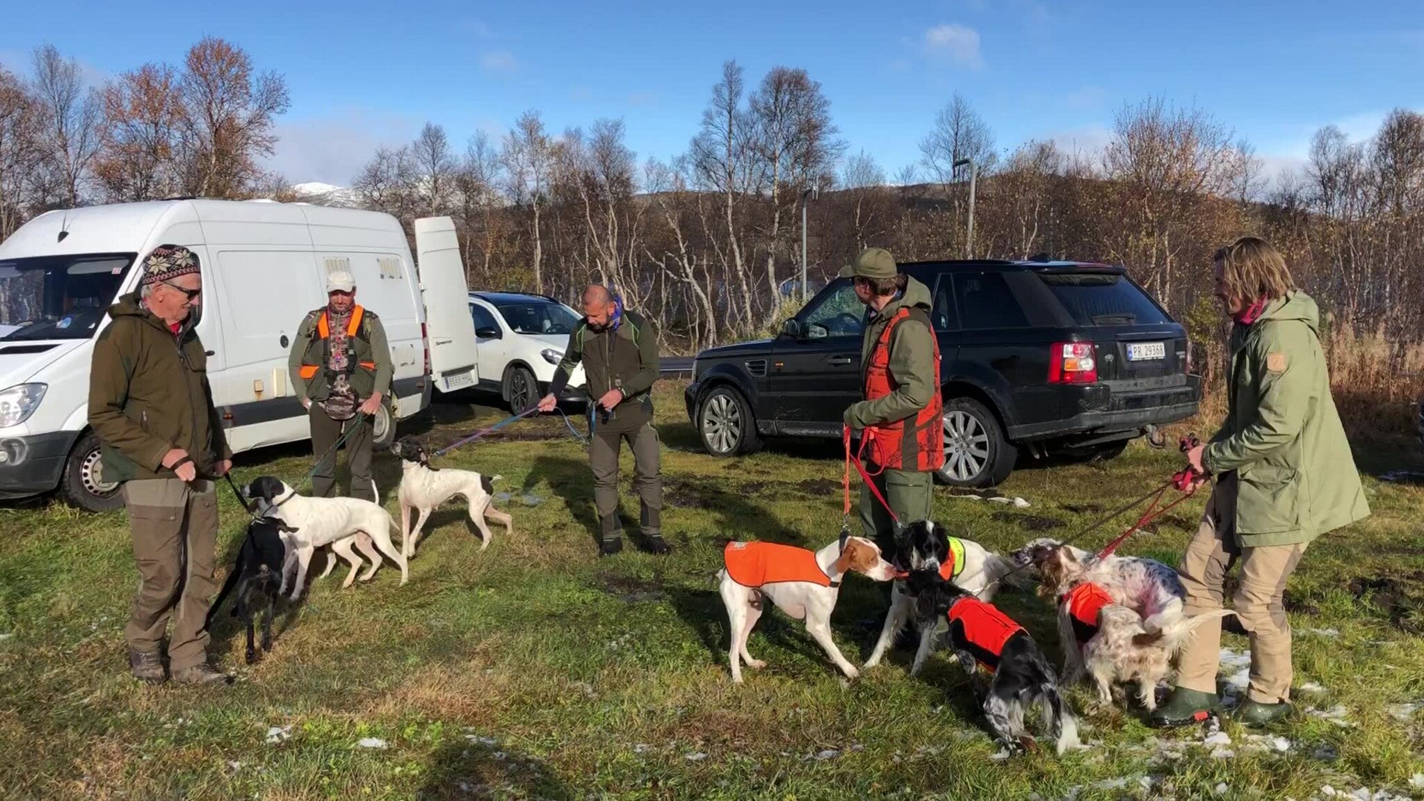 Fuglehunder klare for rypejakt