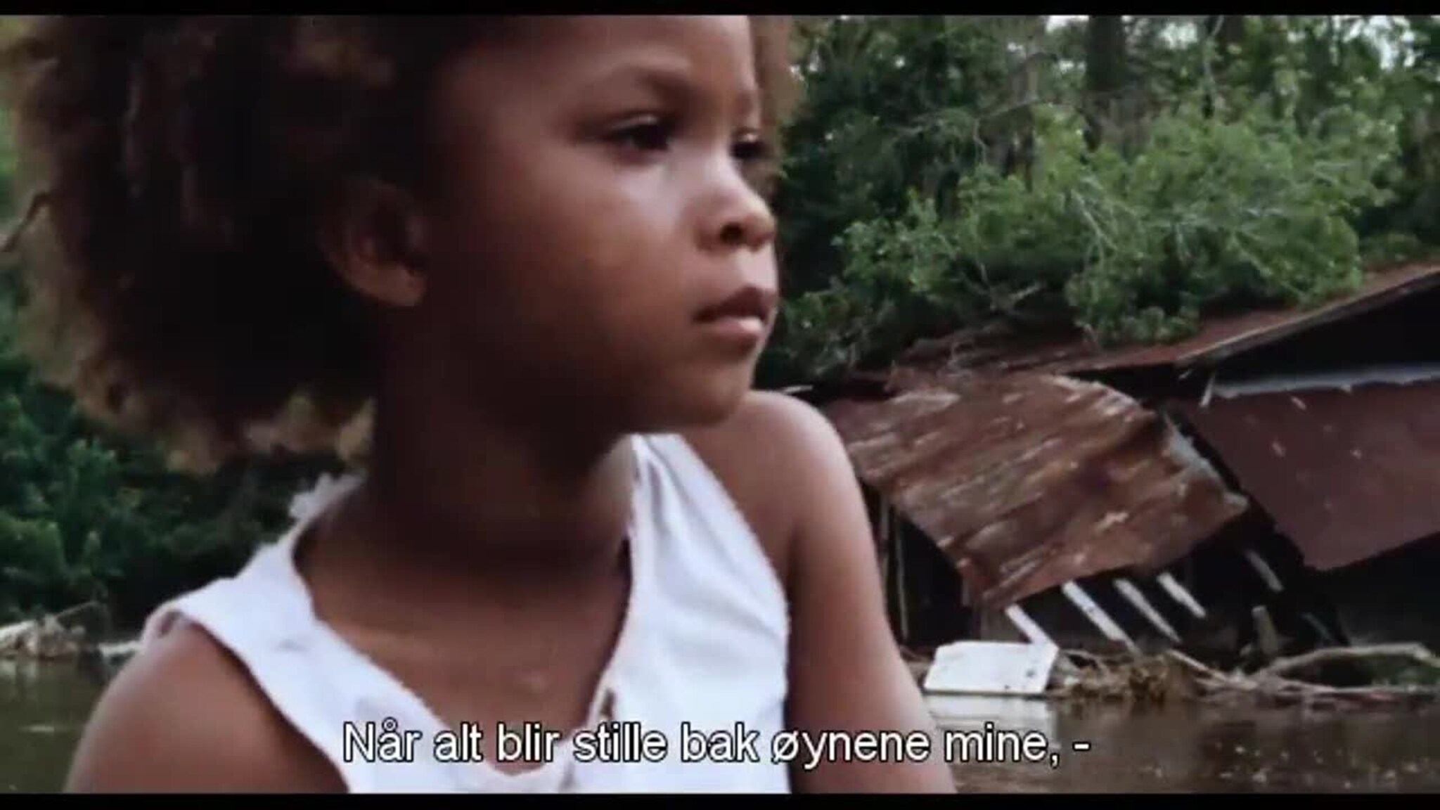 "Beasts of the Southern Wild"