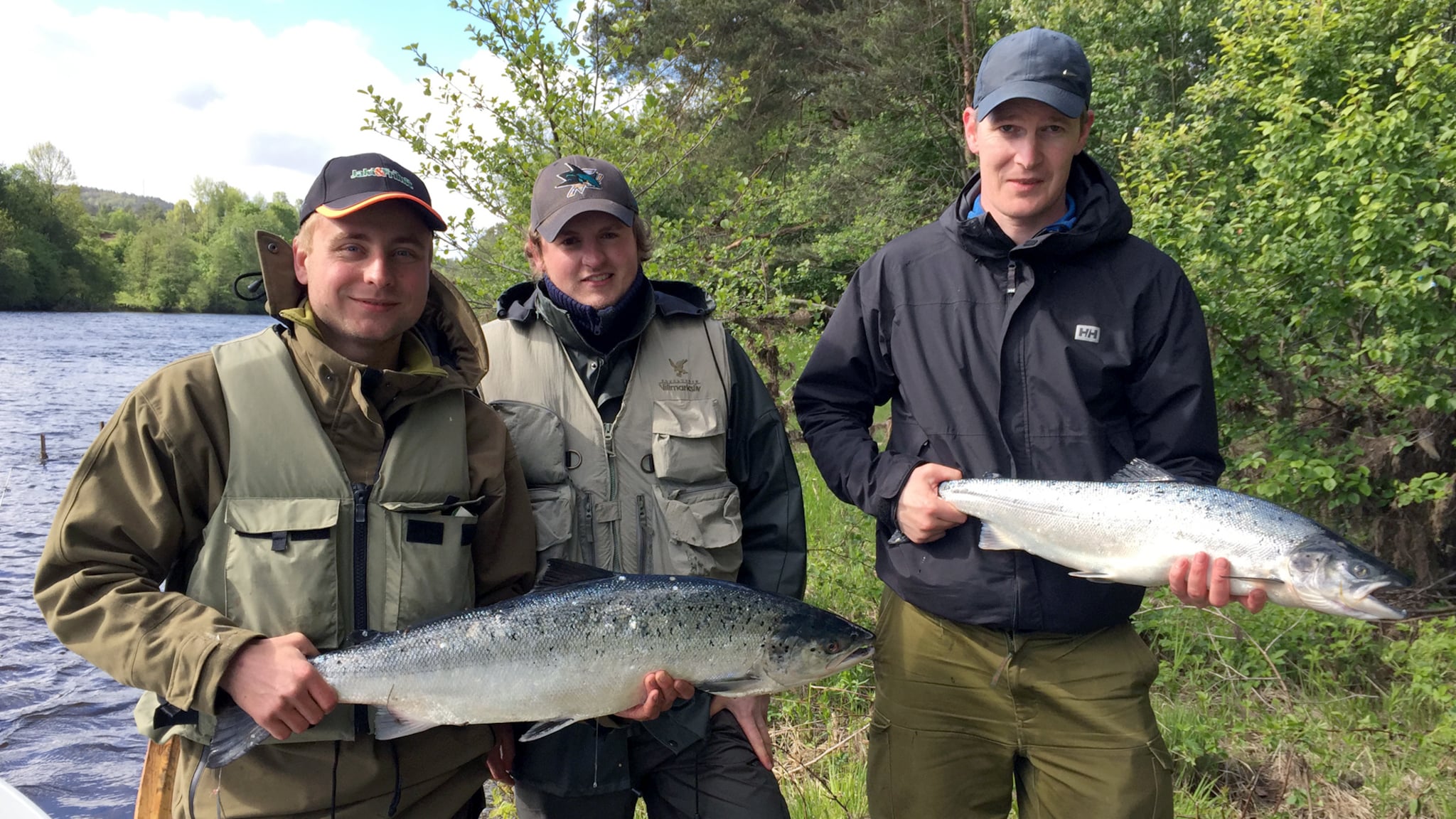 Laksefiske i Otra - live