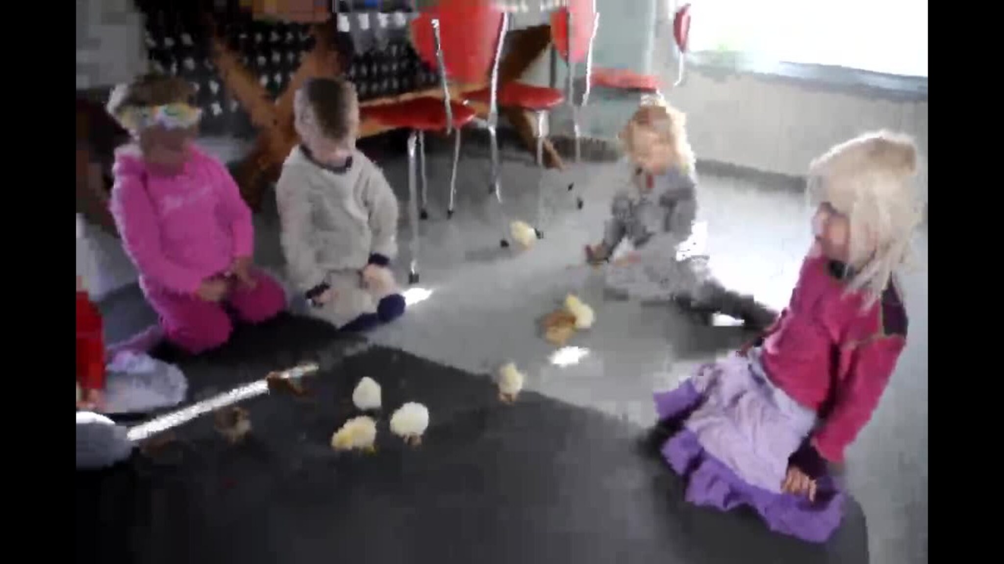 Her leker barna med påskekyllinger