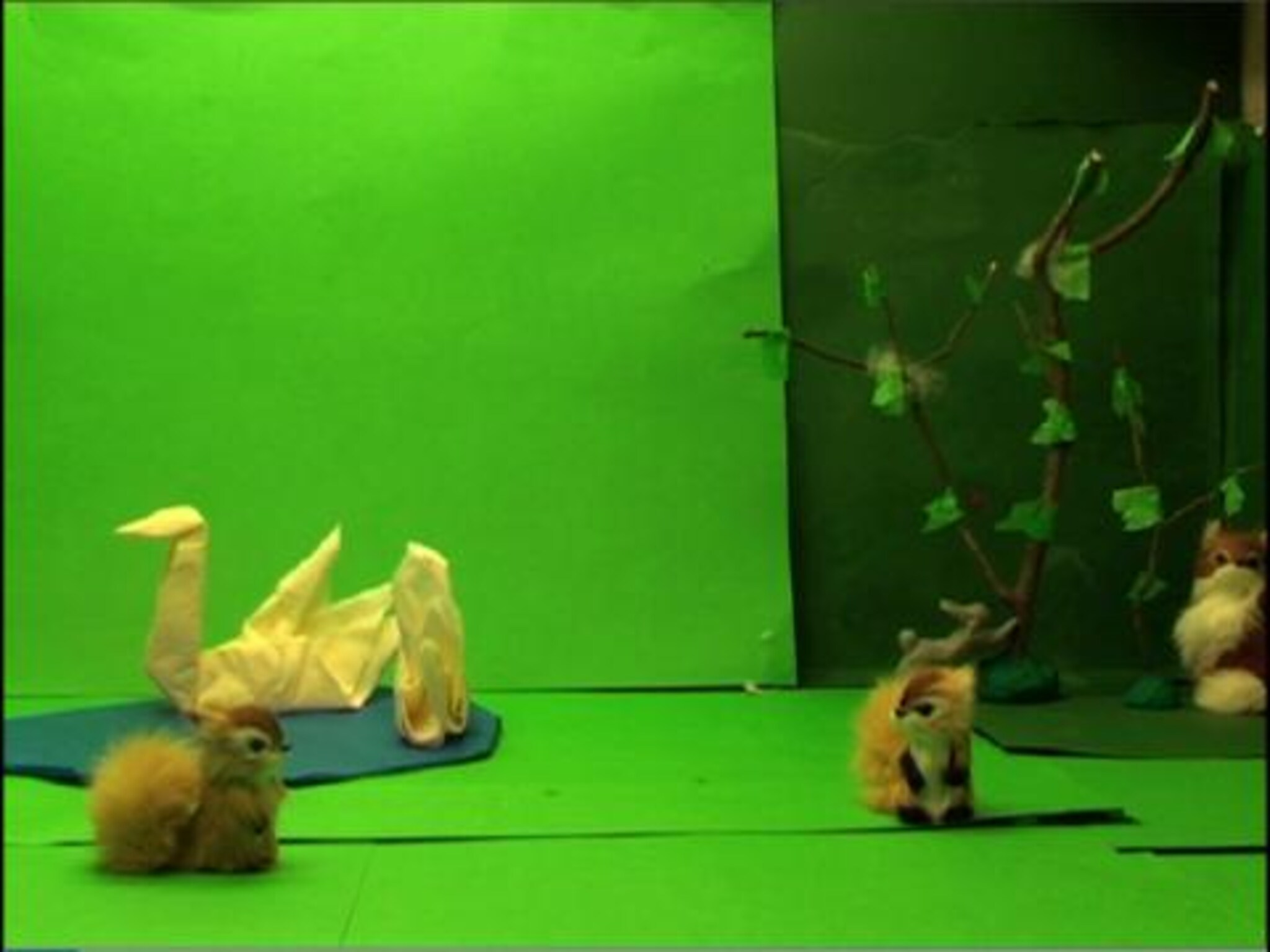 VIDEO 2: Kjærlighet