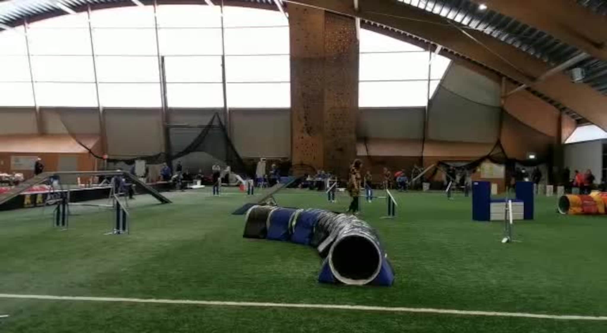 Trine Thorkildsen og hund i agility