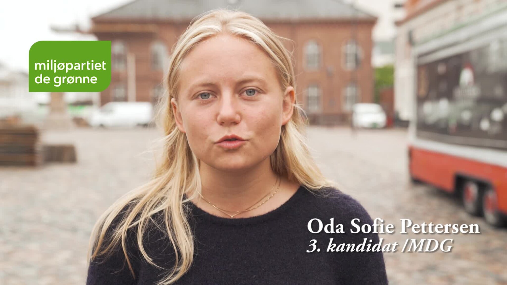 Miljøpartiet de grønne