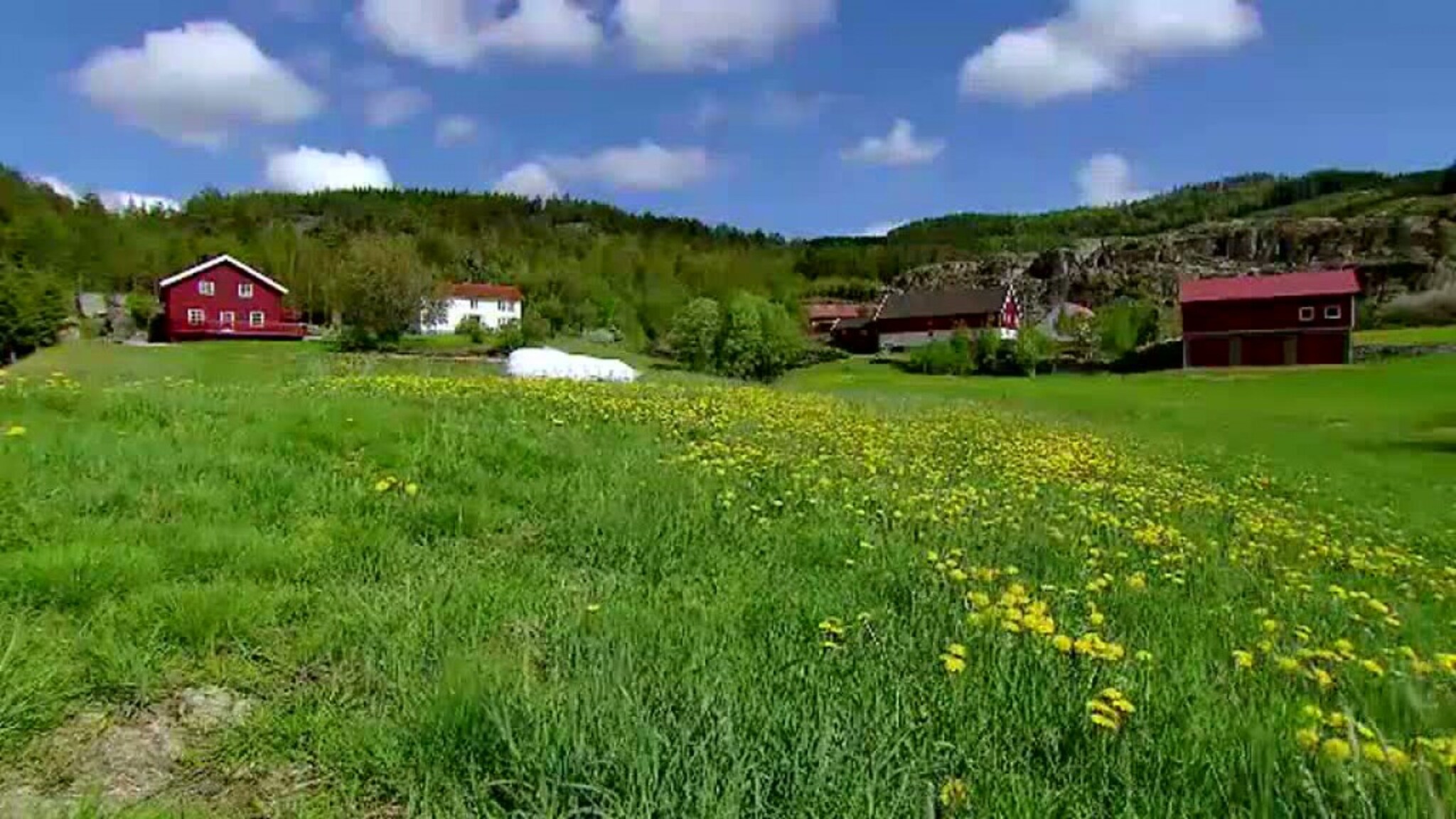 Audnedal-ungkarer blir tv-underholdning