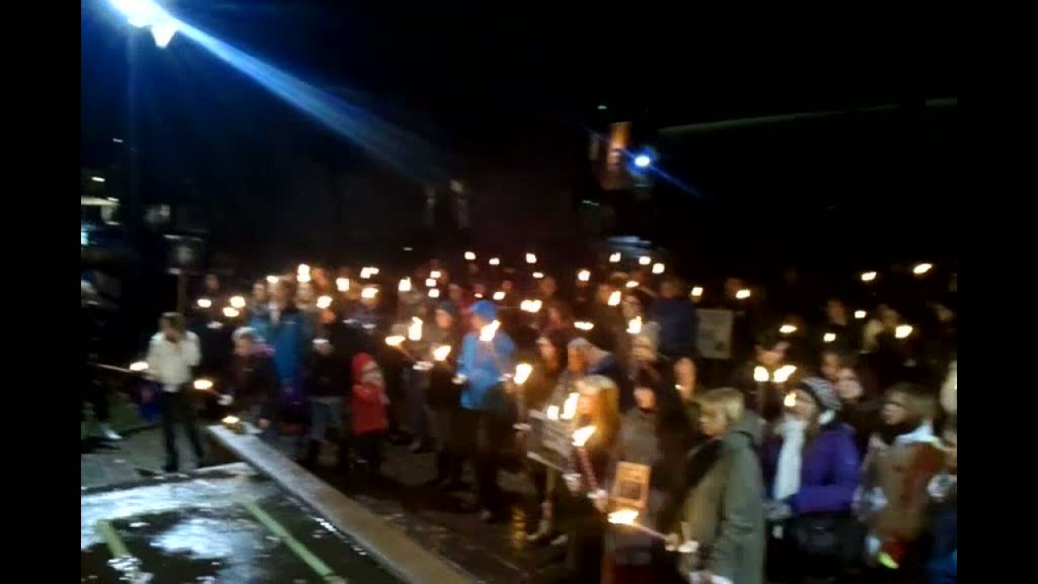 Fakkeltog mot pelsoppdrett