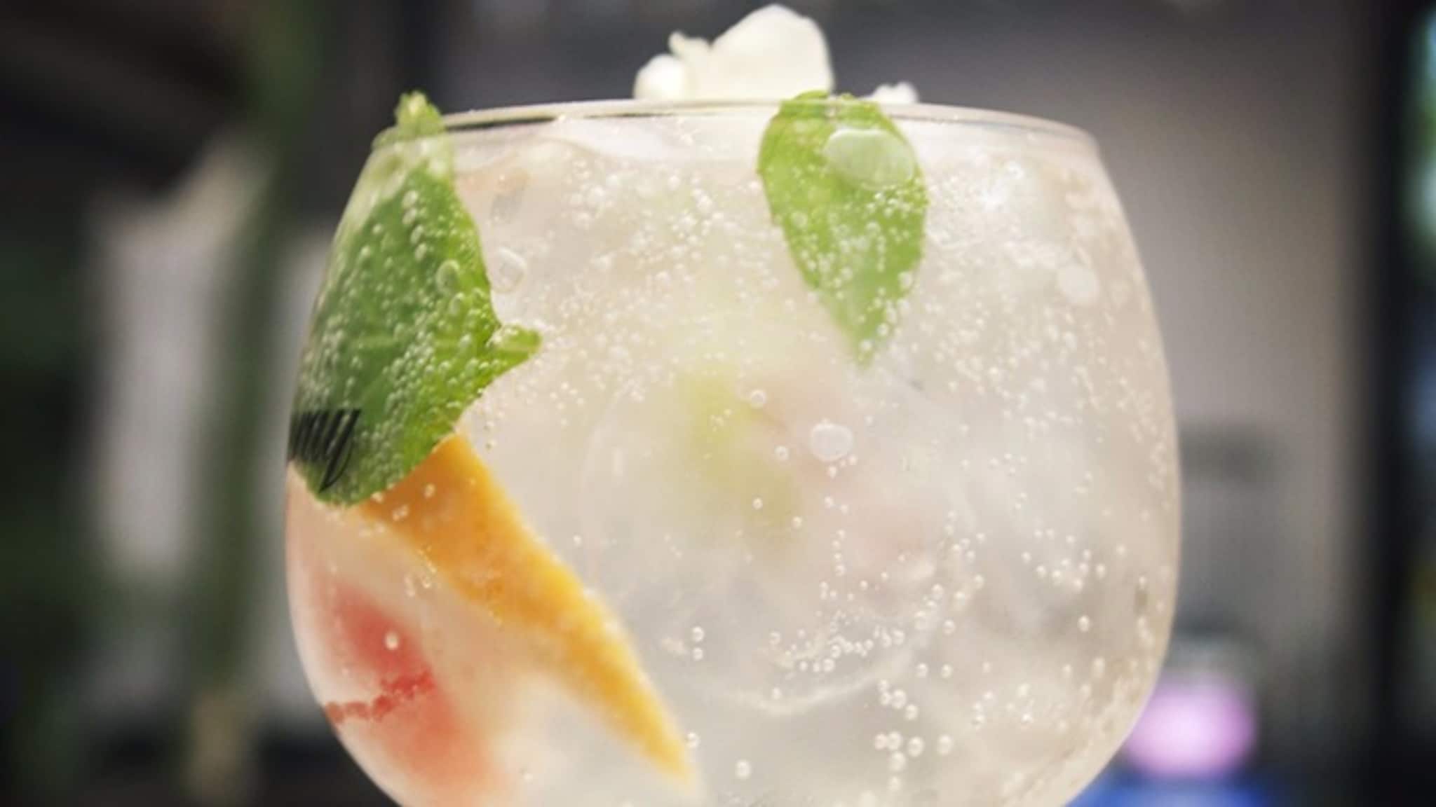 Sommerdrinker 2017: "Premium Gin & Tonic"