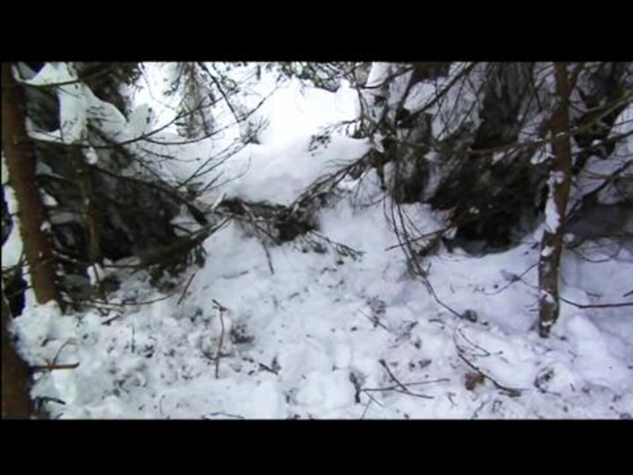 Her ble Faiza funnet