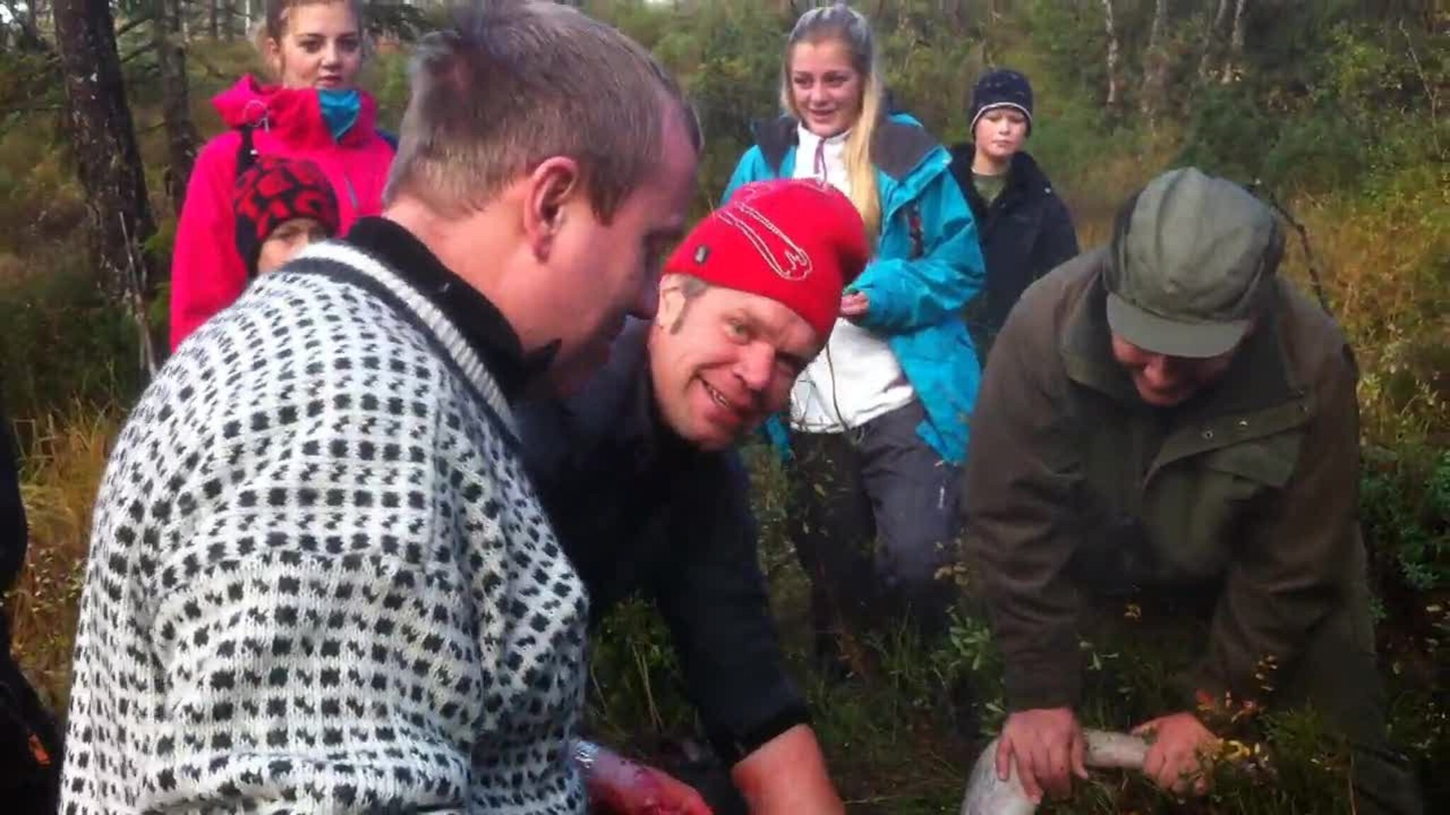 Slakter elg i Vennesla