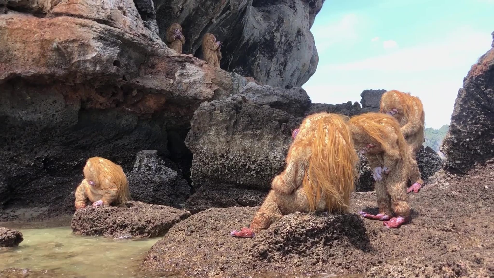 NAAM YAI  av Tori Wrånes