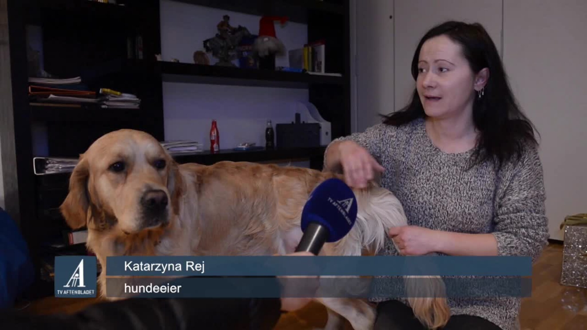 Hunden Ask skutt i Sandnes