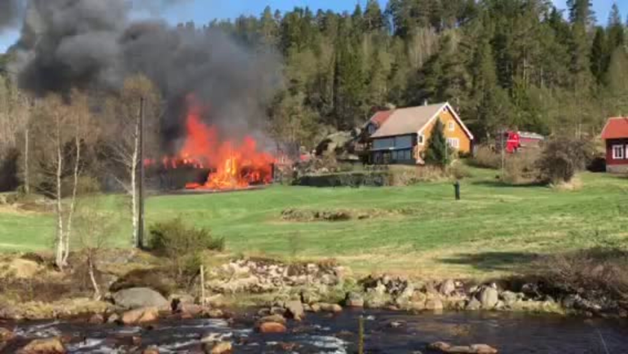 leservideo brann110516