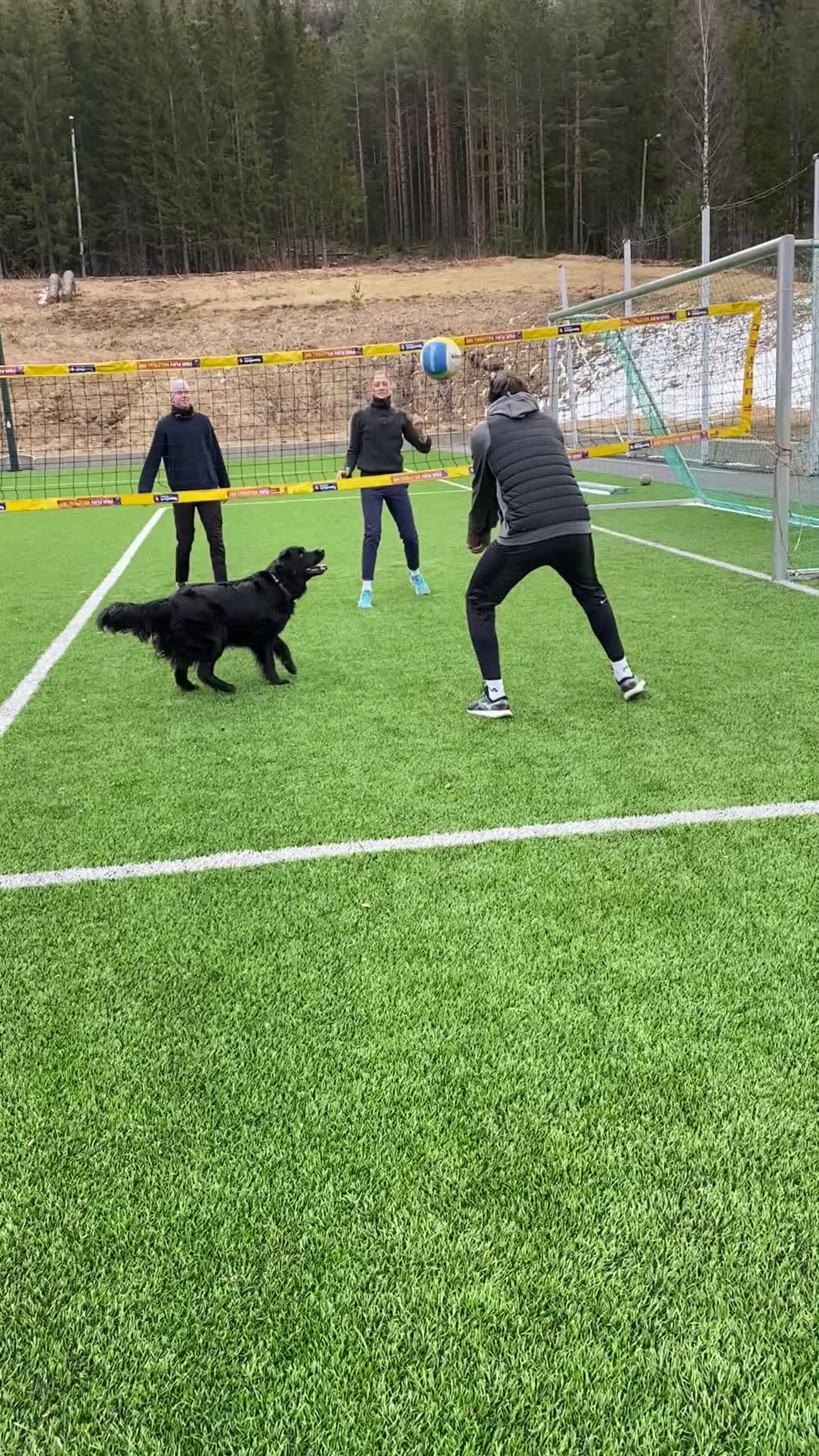 Kiara er en hund etter volleyball