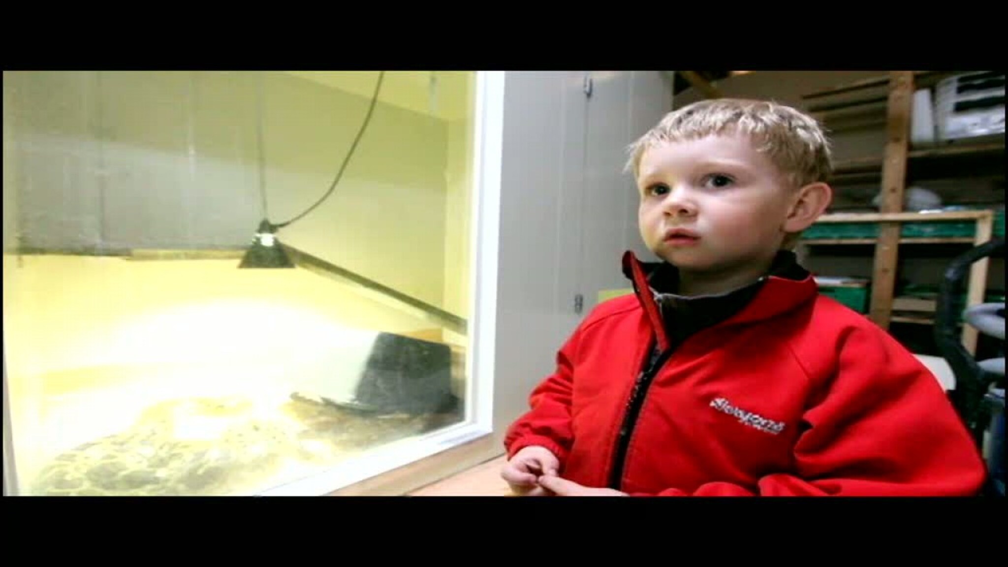 Slanger i Dyreparken