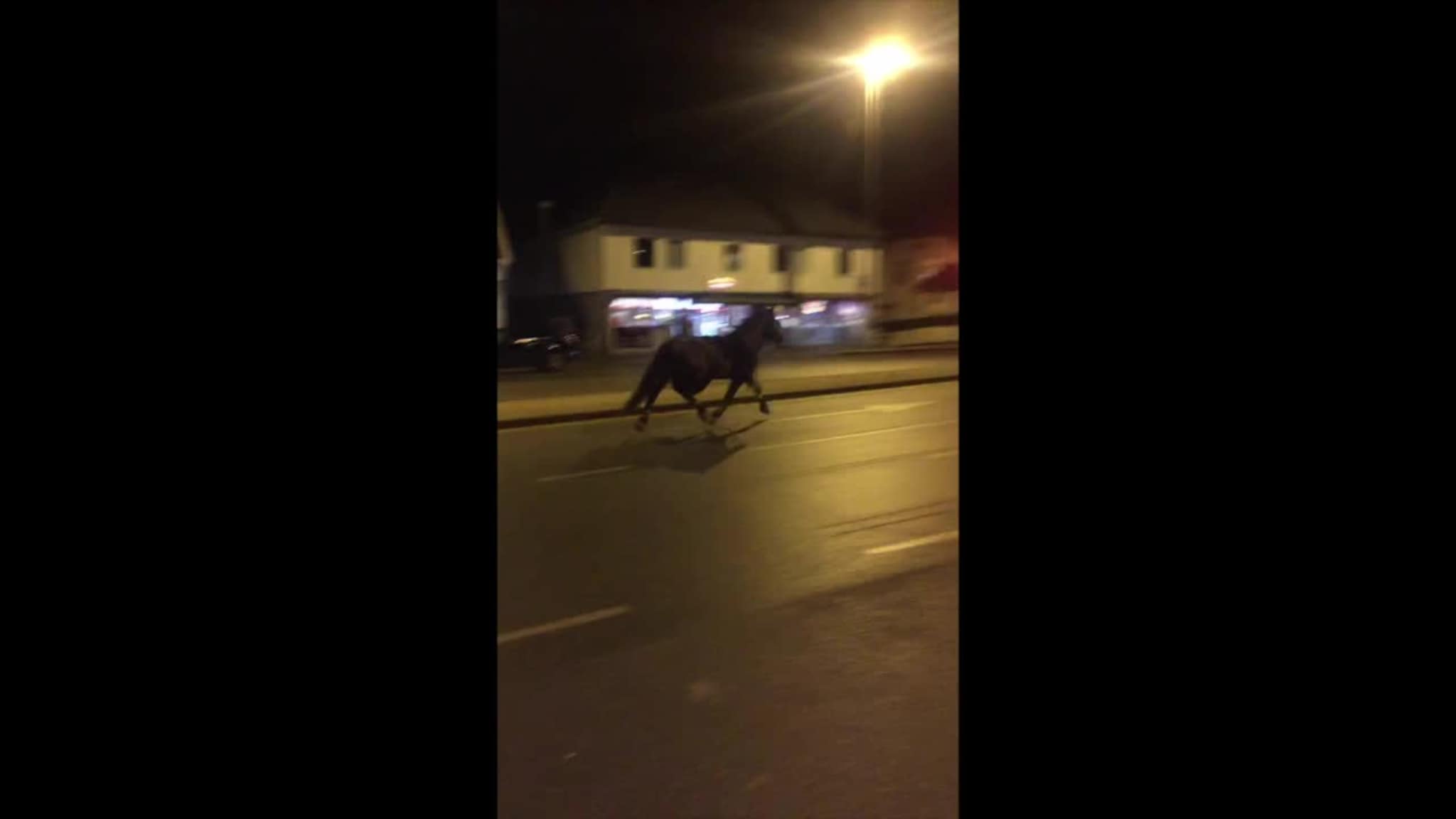Løpsk hest på Lund torv