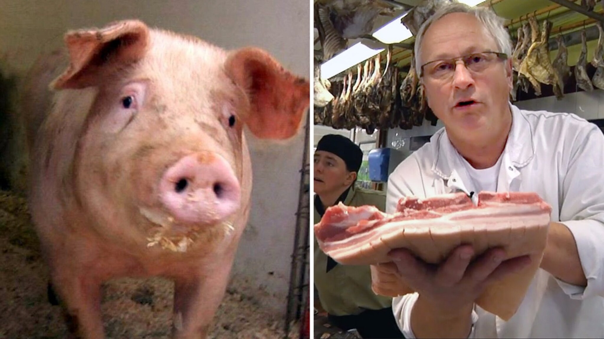 Følg juleribba fra gård til butikk